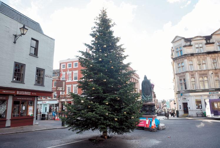 Christmas tree gifted by the Queen to Windsor installed Maidenhead
