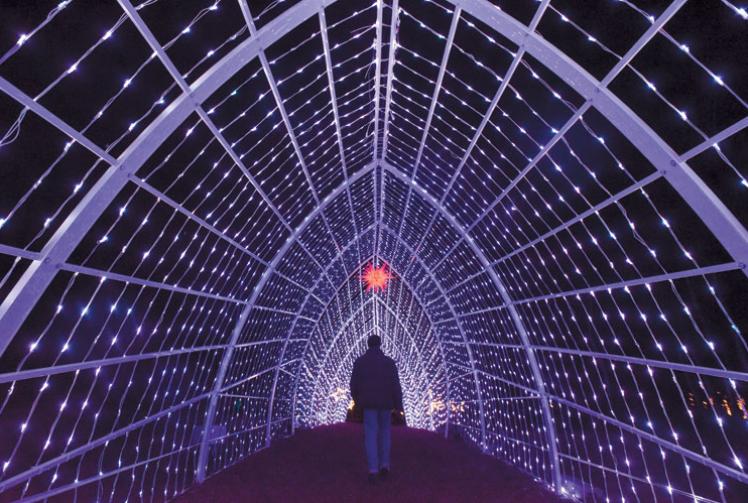 Windsor Great Park Illuminated to return for second year 