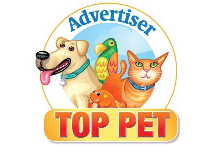 Advertiser Top Pet 2023: Win a photoshoot and tasty treats