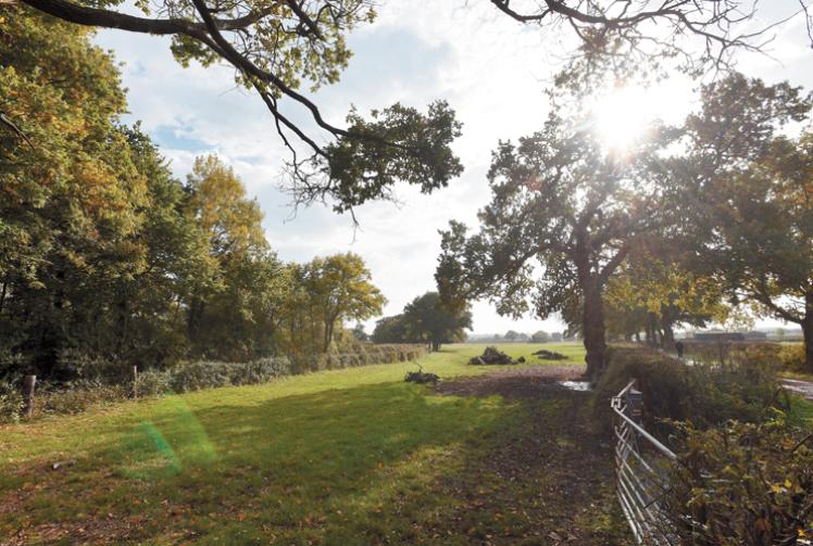 Council unanimously rejects Holyport Film Studios after nearly 400 objections