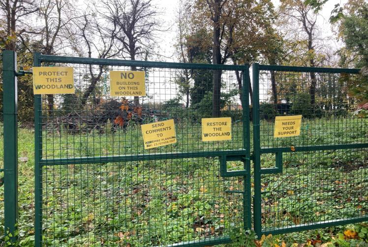 Developer accused of Bourne End 'chainsaw massacre' appeals planning decision