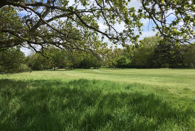 Campaign group hatches plan to try and buy Maidenhead Golf Course for the community