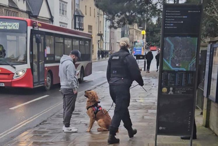 Pilot underway training specialist dogs to detect drugs associated with spiking offences 