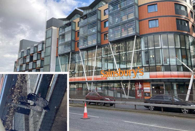 Sainsbury’s Maidenhead investigates after pigeons caught in ‘death trap’ netting