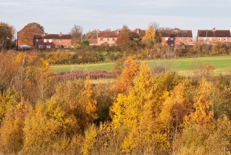 Wildlife charity lambasts Government plan it thinks will cause permanent harm 