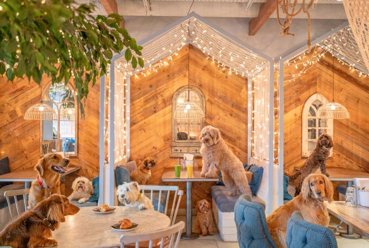 All-day restaurant Megan&rsquo;s confirms autumn opening in Windsor Yards