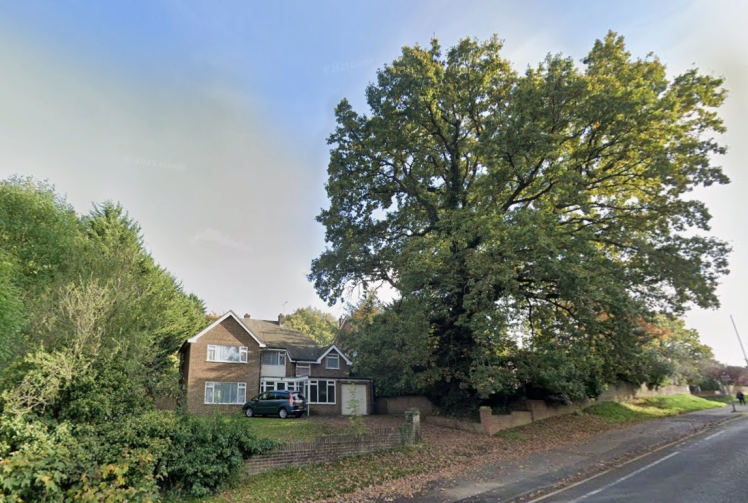 'Unacceptable harm' to Maidenhead ancient woodland and trees sees flats appeal dismissed