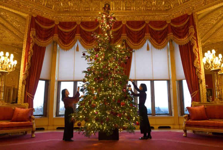 Christmas trees at Windsor Castle 