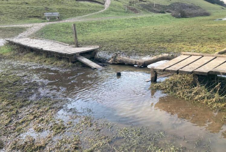 National Trust launches appeal to repair ‘well-loved route’ at Cock Marsh