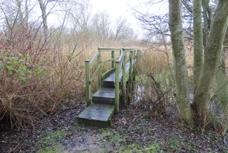 Nature reserve launches appeal to replace pathways