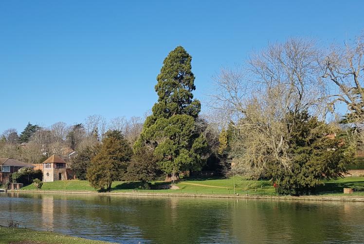 Caversham best place to live