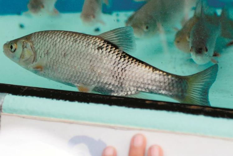 Marco PM demo - 15 Sep 2016