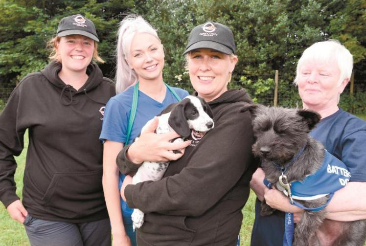 Camilla S Jack Russels Steal The Show In Visit To Battersea Dogs And Cats Home Royal News Express Co Uk