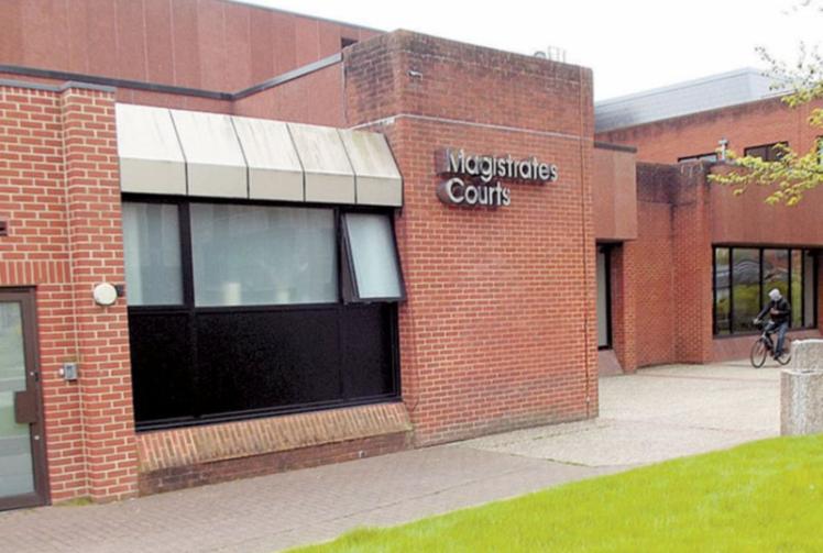 Bray property manager fined for felling protected trees