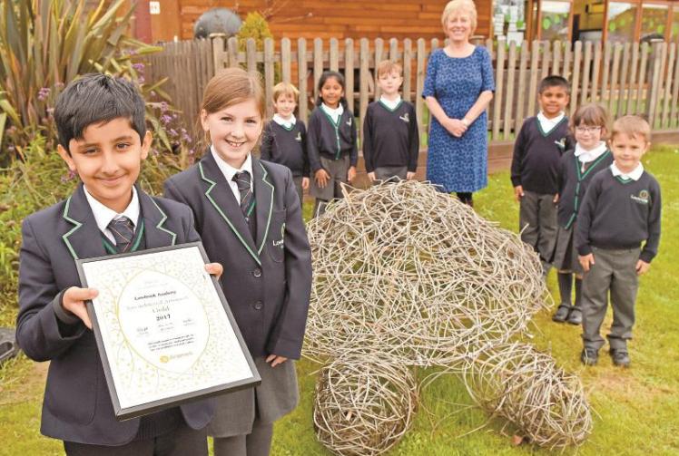 Lowbrook Academy receives gold standard Artsmark award Photo 1 of 1