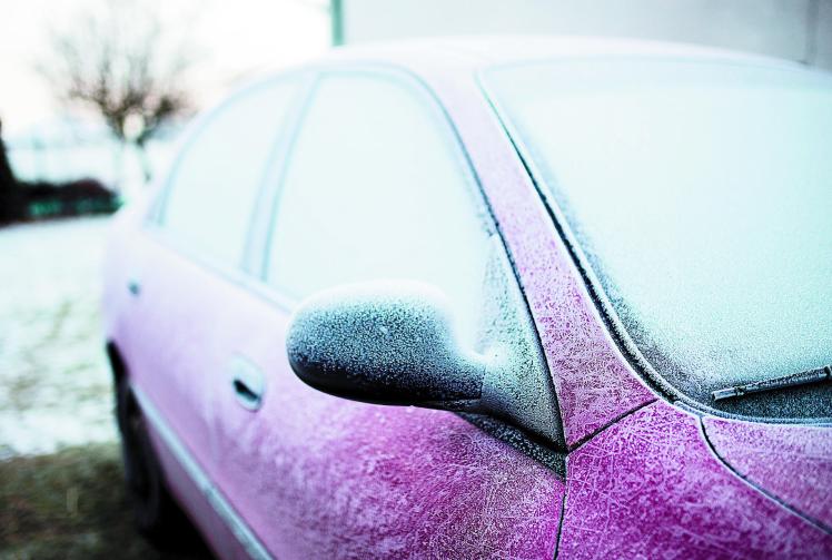 Maidenhead's mildest January for 12 years