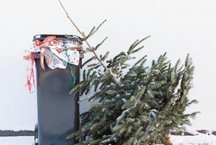 Bin collection dates for Slough and the Royal Borough Photo 1 of 1 Maidenhead Advertiser