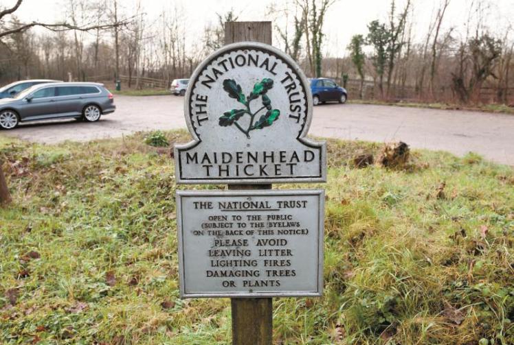 Calls for measures to tackle dogging at Maidenhead hotspot