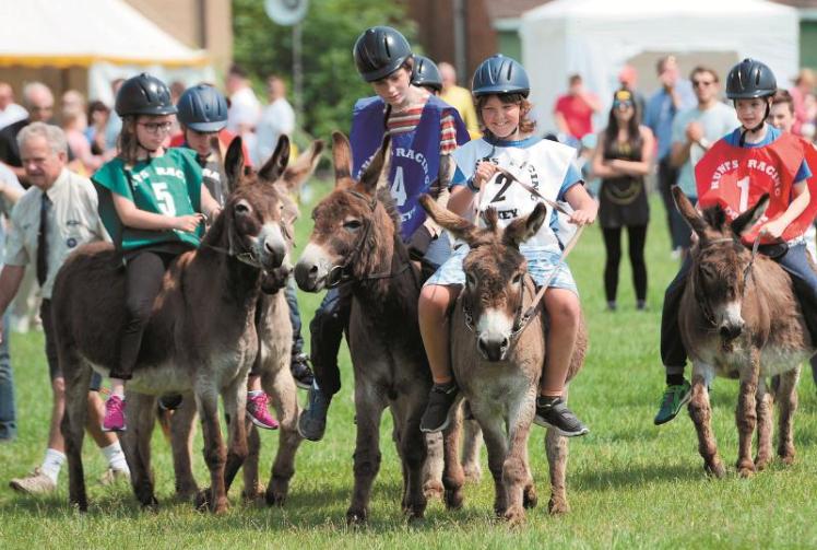 Thousands expected for Twyford Donkey Derby Photo 1 of 1 Maidenhead