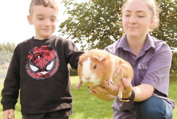 Toddlers meet animals from Basil & Crew Mobile Farm