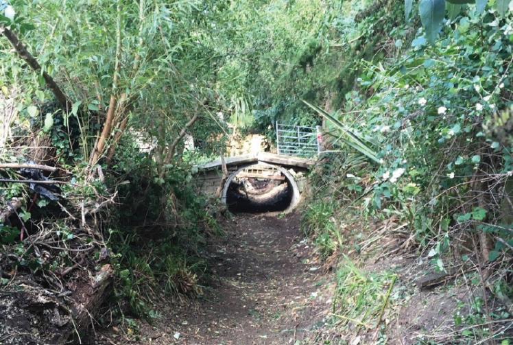 Work ongoing to address still-blocked Wraysbury Drain described as a ‘liability’