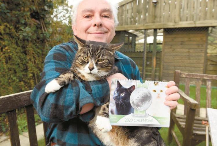 Cat charity CLAWS launches calendar appeal Photo 1 of 1 Maidenhead