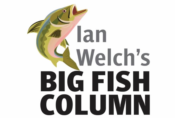 Plummeting overnight temperatures mean catches are few and far between