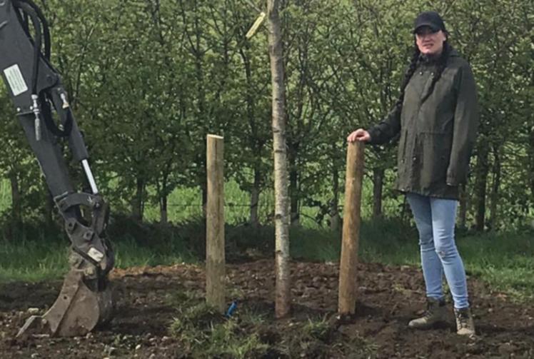 Cherry blossom tree planted in memory of 13-year-old-boy