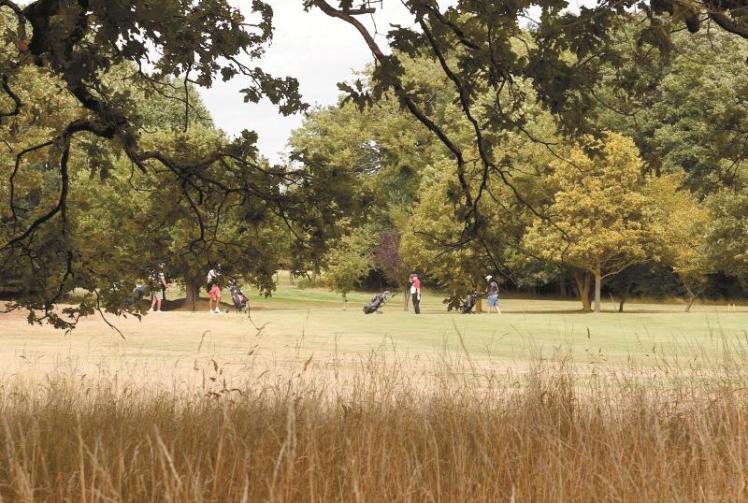 Petition calling for Maidenhead Great Park closing next week