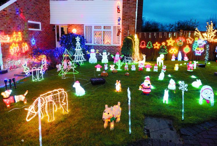 Menagerie of Christmas light animals brightens up Holyport for the holidays