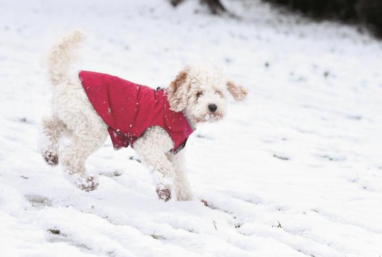Maidenhead's 'warmest' coldest night experienced in 2020
