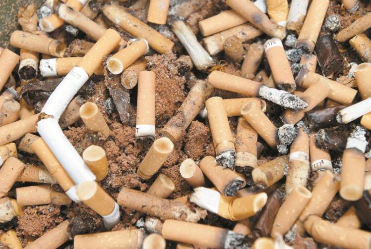 Councillors call for more transparency over Windsor and Maidenhead litter fines company