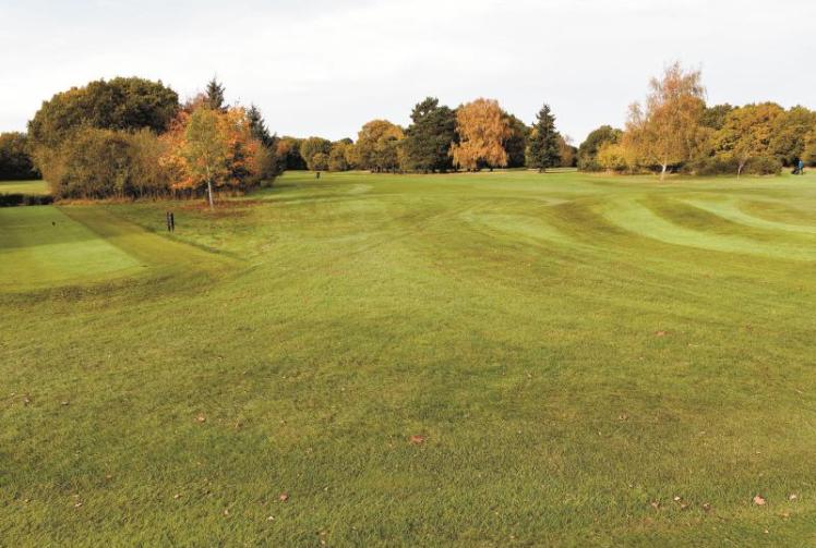 Viewpoint: Maidenhead Golf Course and the BLP