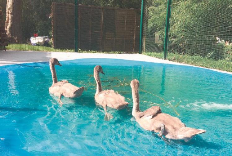 How the Louis Baylis Trust has helped good causes in 2021 Photo 1 of