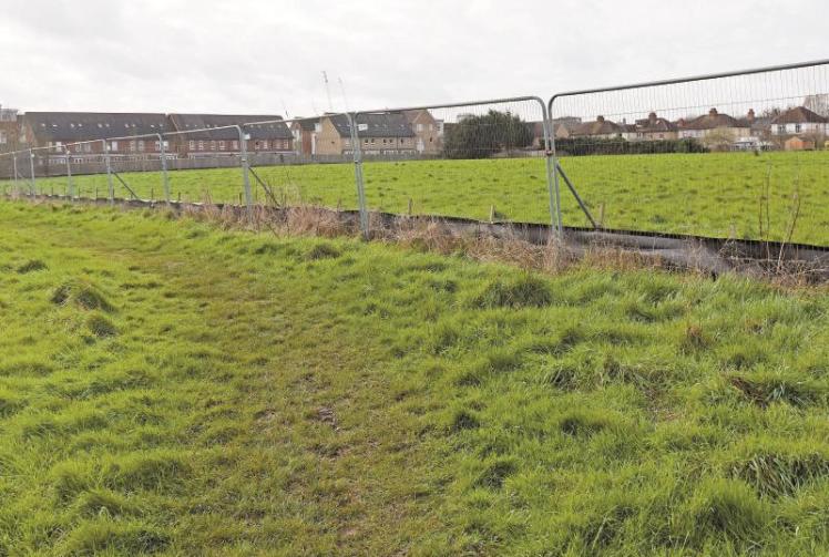 Survey launched to 'enhance' Deerswood Meadow for wildlife Maidenhead