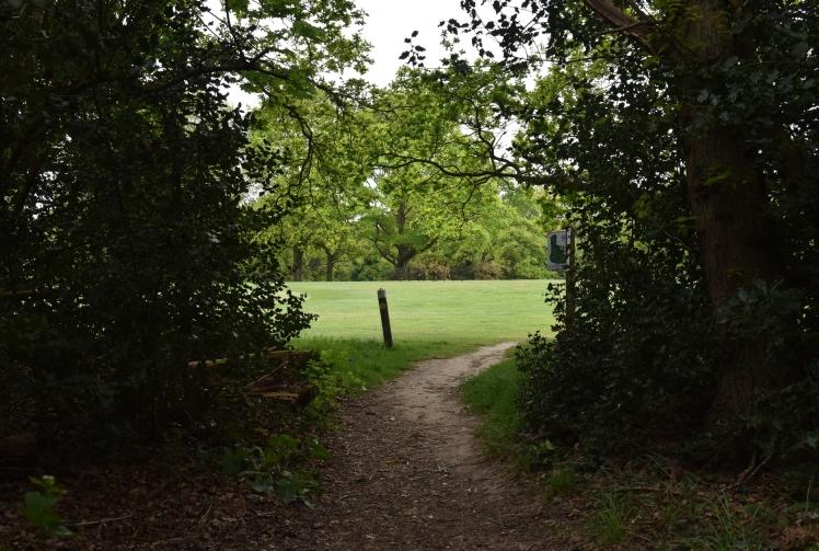 Species could be 'destroyed' in Maidenhead Golf Course development, report says