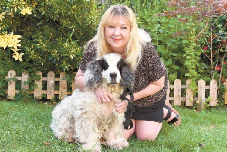 Maidonian's film battles to get justice for stolen dog owners