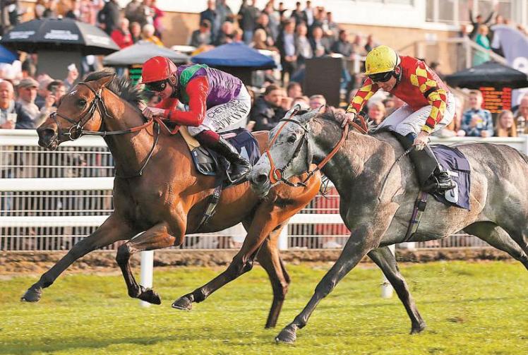 Trainer Ralph Beckett and jockey Rob Hornby in winner's enclosure at Windsor