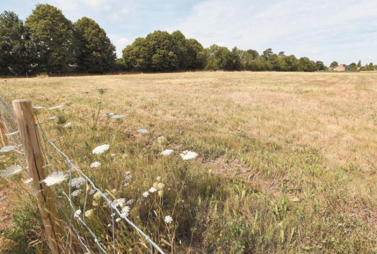 Plans confirmed for 100 homes next to Thames Hospice