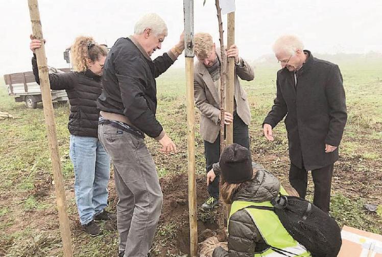 Trees planted in Czech Republic in memory of Sir Nicholas Winton