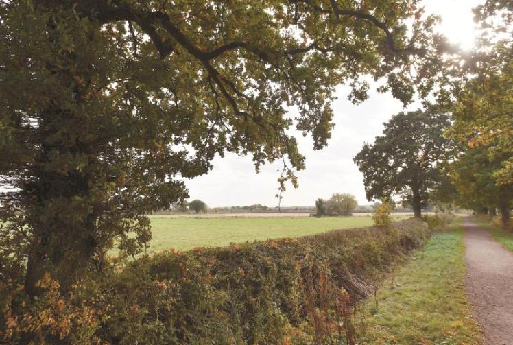 Parish council will make a case against Holyport Studios at appeal