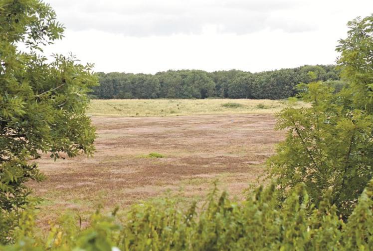 Controversial 330home Spencer's Farm plans refused at meeting Photo