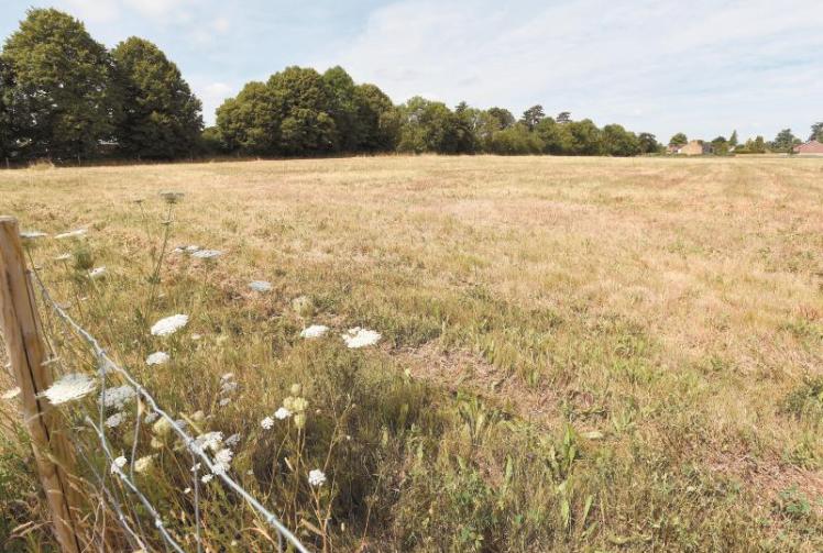 Viewpoint: Objections to Bray Lake proposals