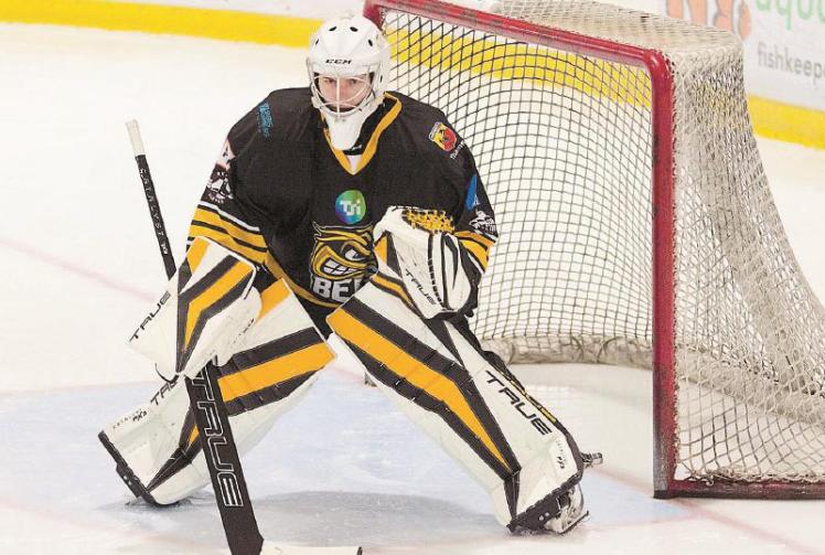 Shepherd makes winning return as TSI World Bees pick up first win of 2024