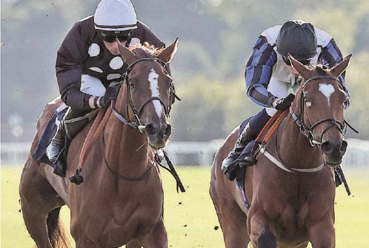 Rossa Ryan brings up&nbsp;a century of winners with Galaxy Princess victory at Windsor