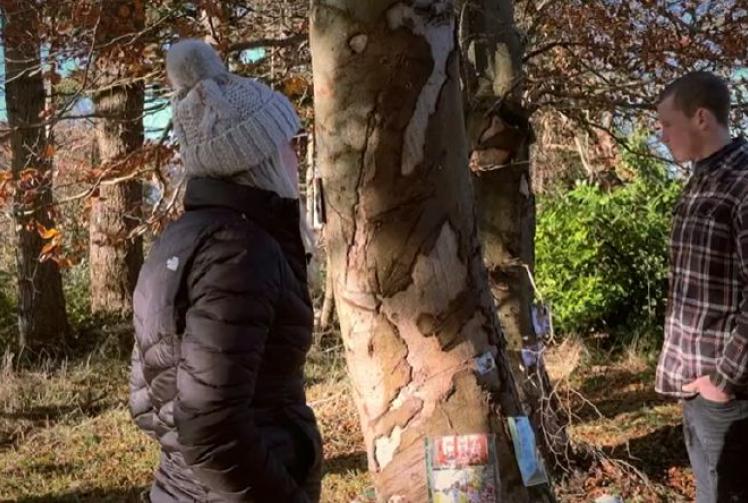 ‘Graduate licence could reduce road deaths’