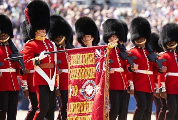 Review of the year, part one: Worker sacked for tweets, litter signs upset