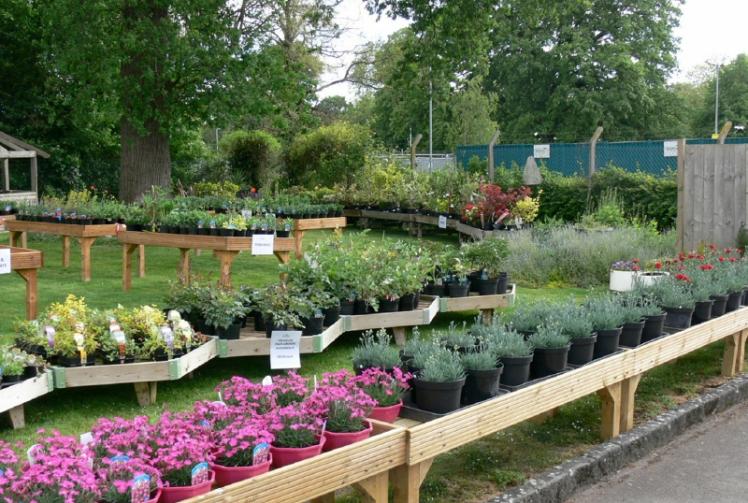 Community support offers hope to save Braywick Heath Nurseries from closure