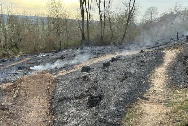 Firefighters battle for three hours to stop wood blaze