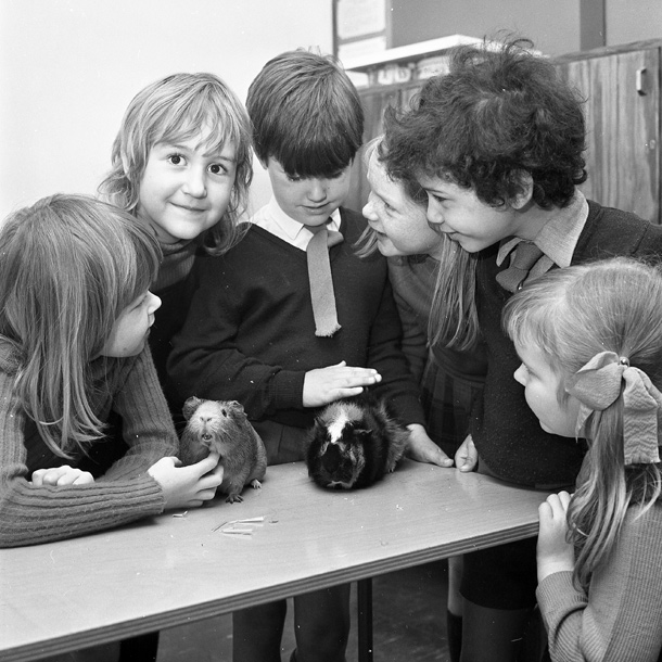 Remember When: You wait ages for a christening then three 